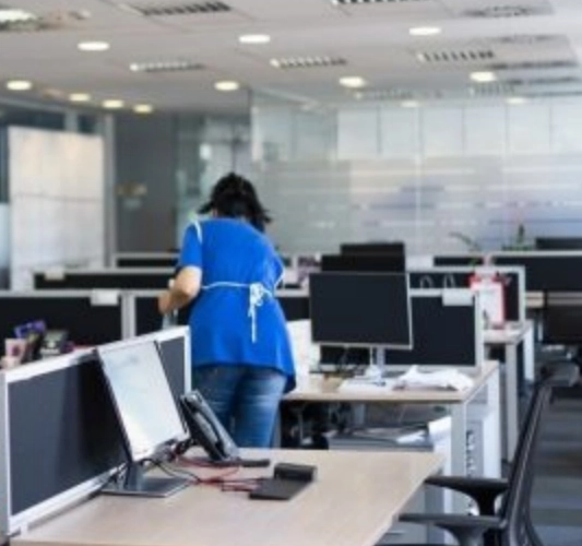 Limpieza de oficinas en El Ejido 04700