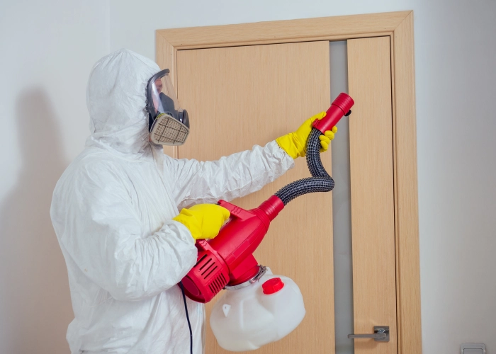 Tratamiento contra chinches en Barcelona 08001