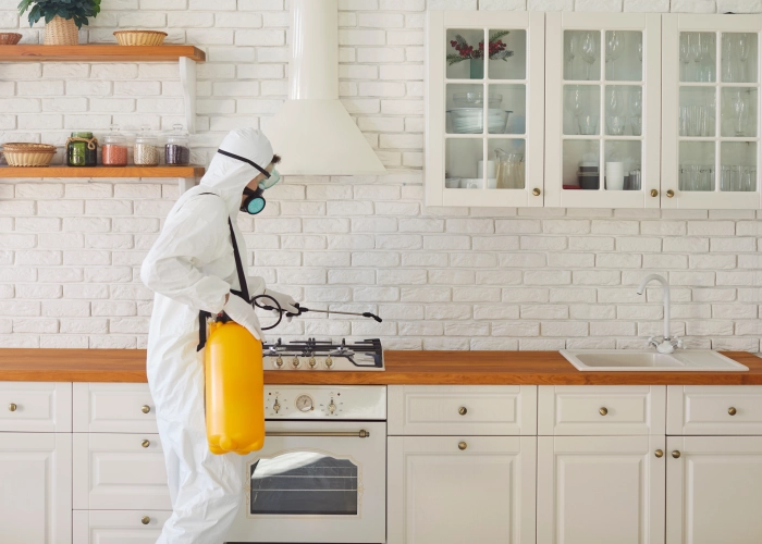 Tratamiento contra chinches en Terraza 08221