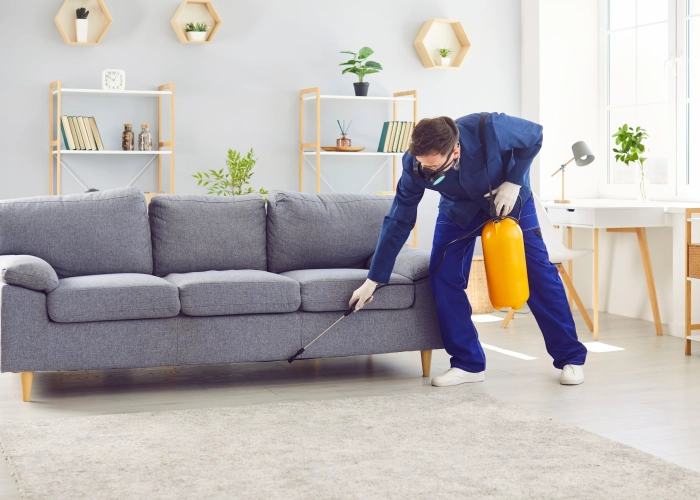 Tratamiento contra chinches en Barcelona 08039