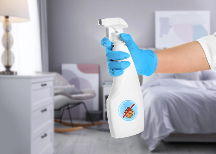 Tratamiento contra chinches en Elche 03201