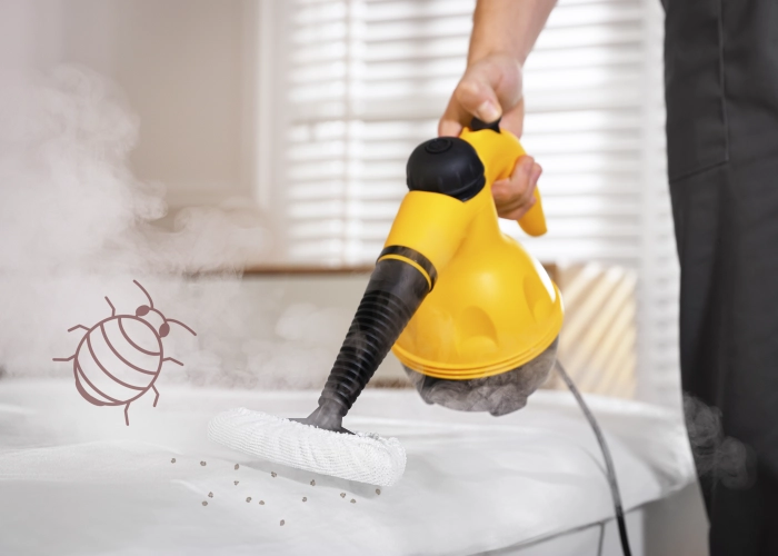 Tratamiento contra chinches en Móstoles 28931